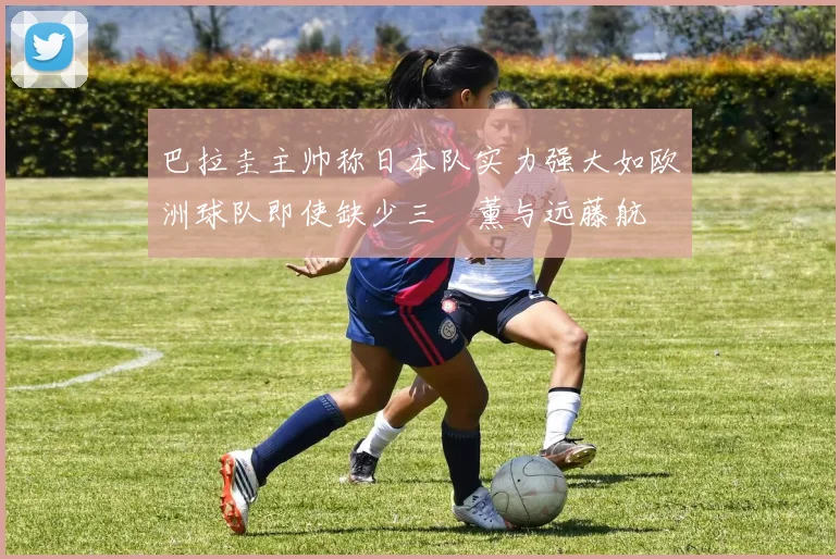 巴拉圭主帅称日本队实力强大如欧洲球队即使缺少三笘薰与远藤航