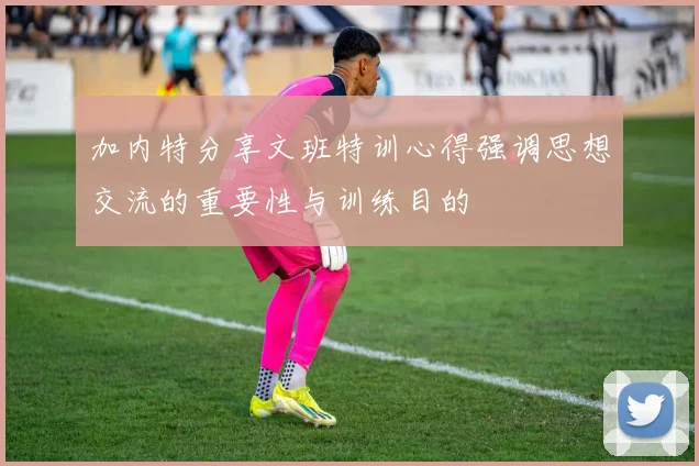 加内特分享文班特训心得强调思想交流的重要性与训练目的